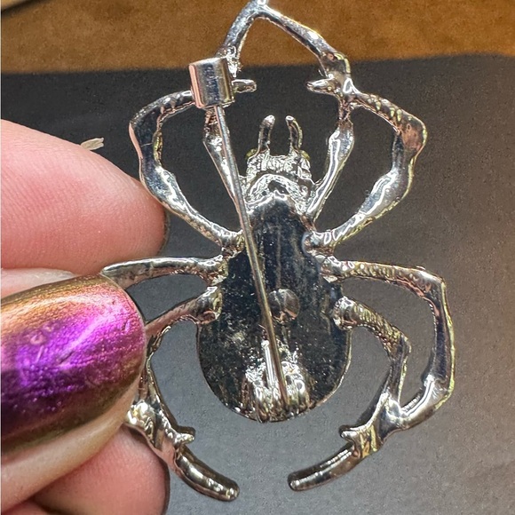 Abalone Shell Spider set in Stainless Steel Brooch/Necklace - Picture 2 of 5